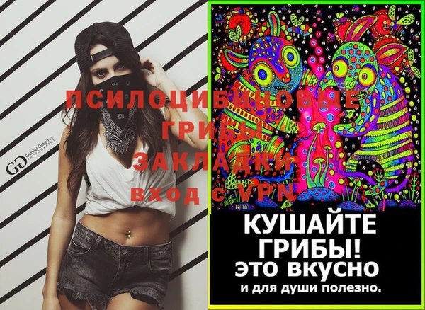 прущие грибы Верхний Тагил