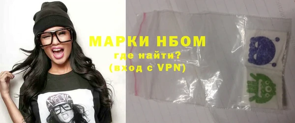 прущие грибы Верхний Тагил