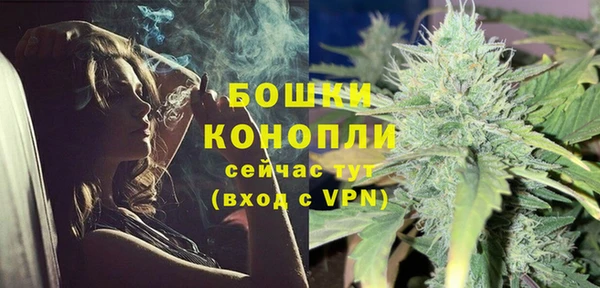 дмт Ладушкин