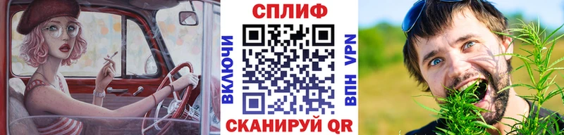 купить закладку  Макаров  Бошки марихуана сатива 